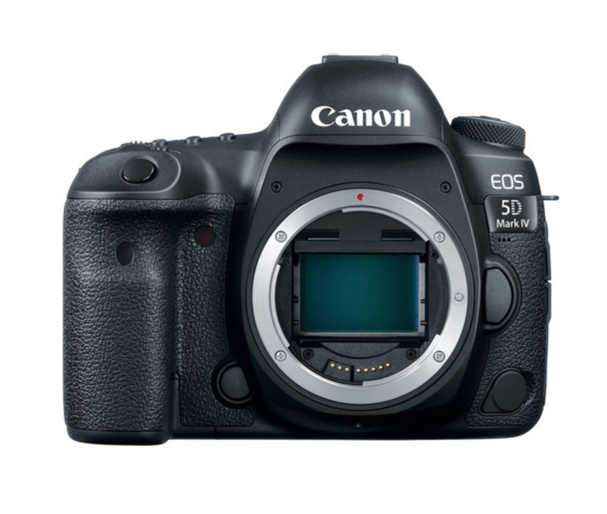 Canon EOS 5D Mark IV + EF 24-105mm F4L IS II USM-2