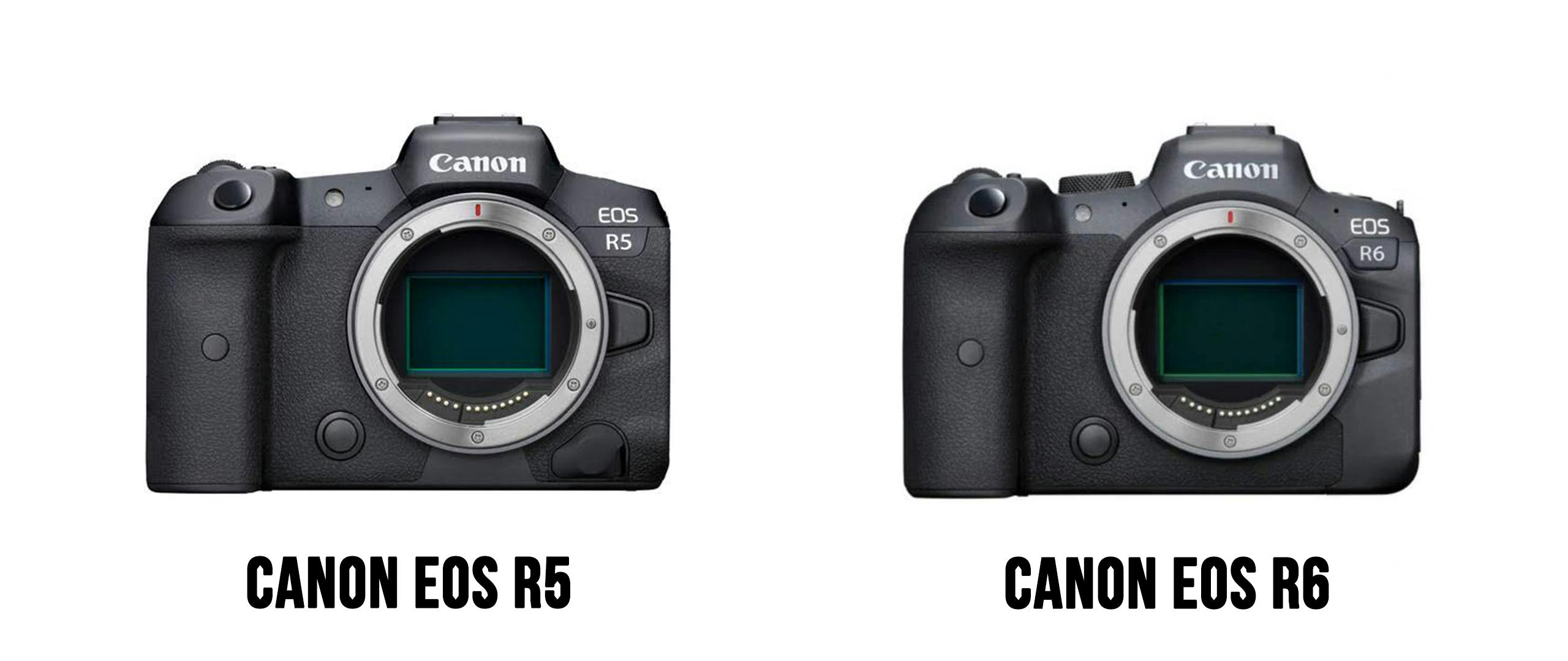Canon r5 vs r6