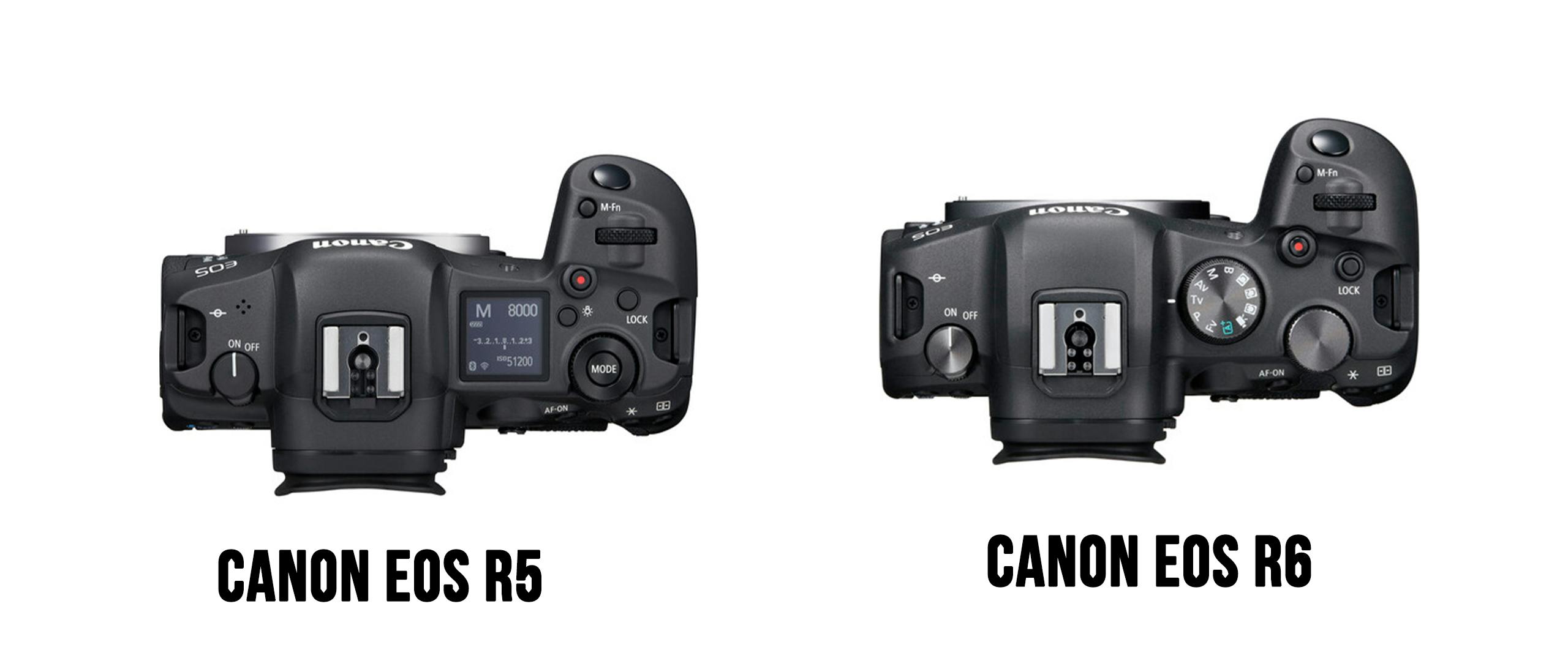 Canon eos r6 vs r5