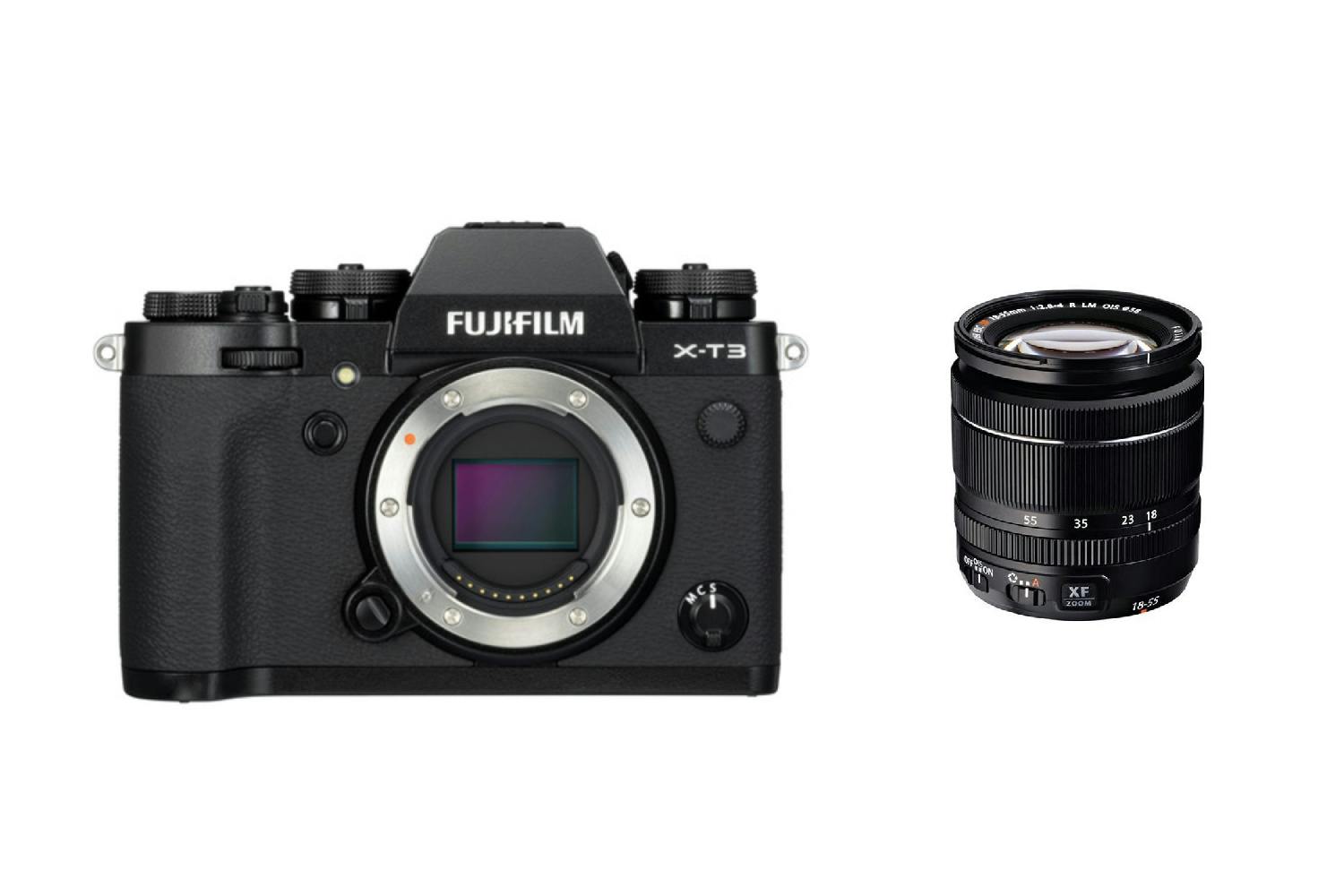 Fujifilm X-T3 + XF 18-55mm F 2.8-4 R LM OIS-1