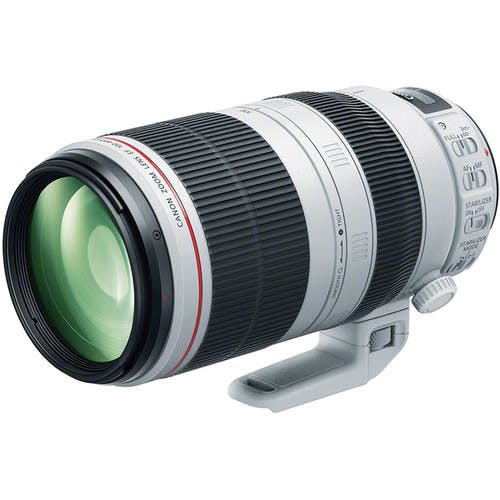 Canon EF 100-400mm F4.5-5.6L IS II USM-1