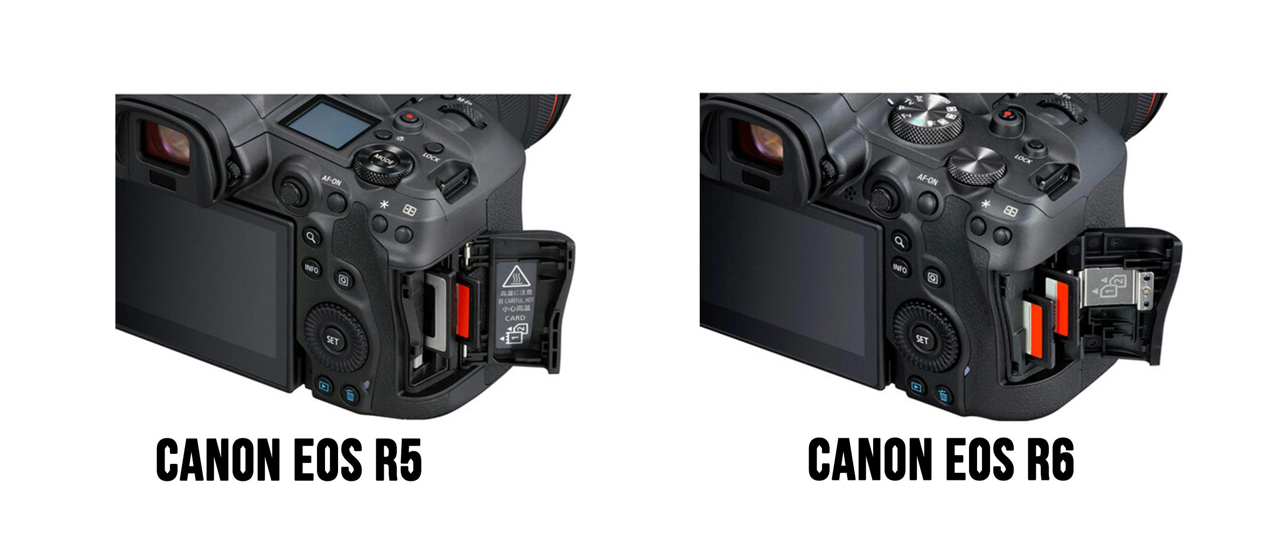 Canon eos r5 vs r6 